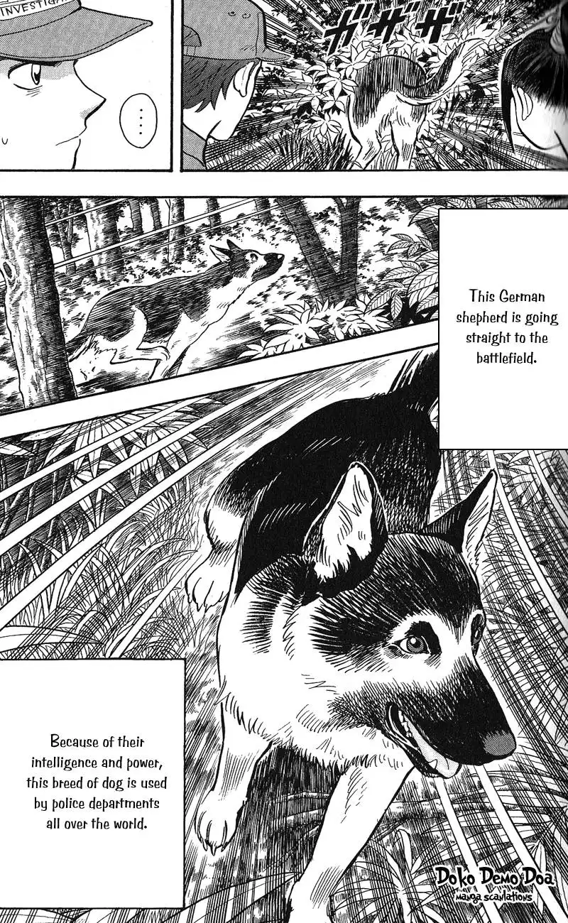 Animal Sense Chapter 12 20